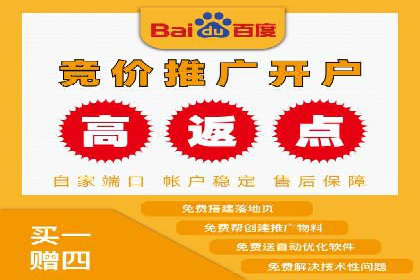 竞价推广实战：案例分析行业领军企业的成功之道